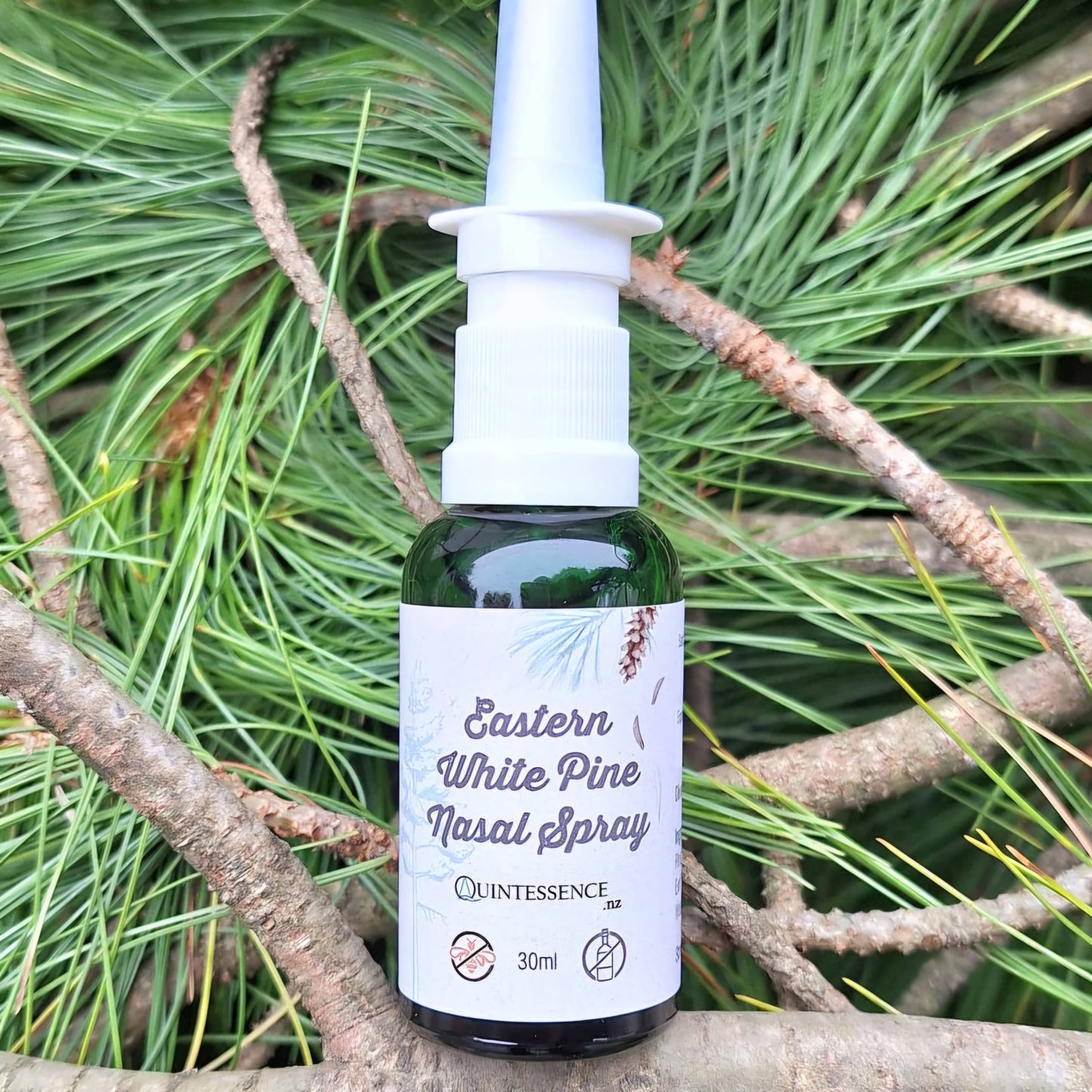 Eastern White Pine Glycerine Nasal Spray 30ml - Quintessence