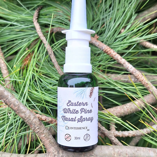 Eastern White Pine Glycerine Nasal Spray 30ml - Quintessence