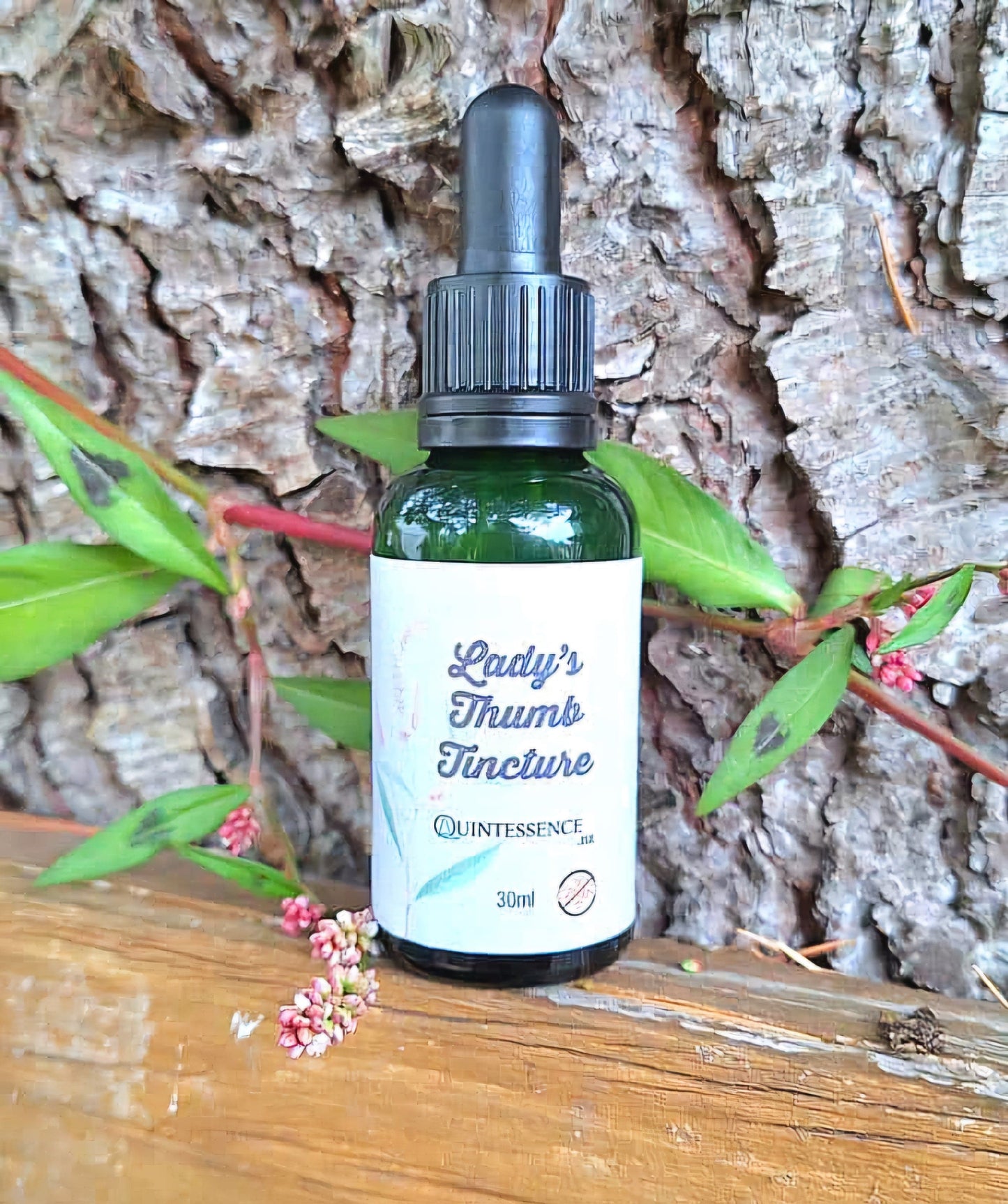 Lady's Thumb Tincture (Honey Free) 30ml - Quintessence