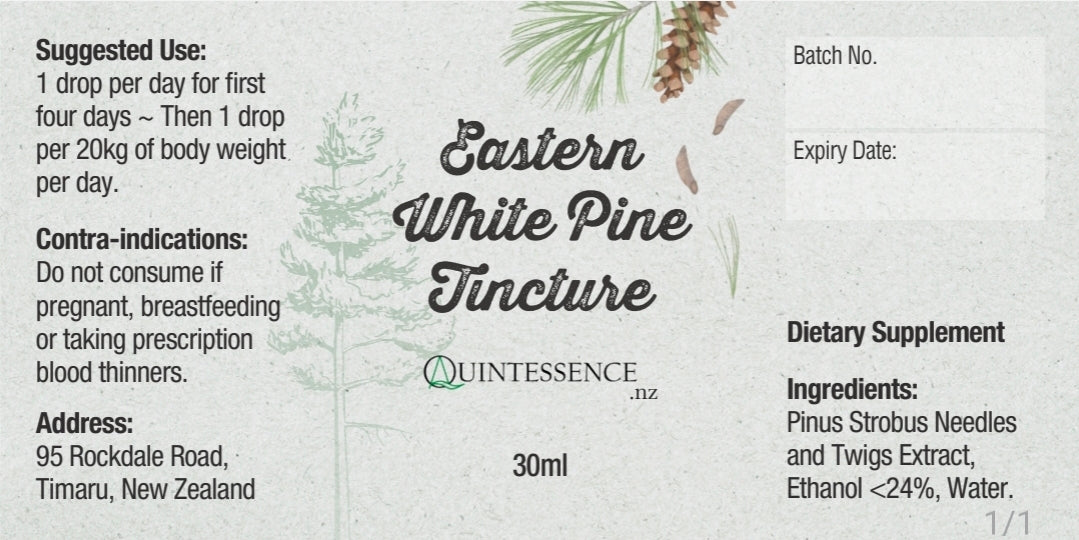 Eastern White Pine Tincture - Quintessence