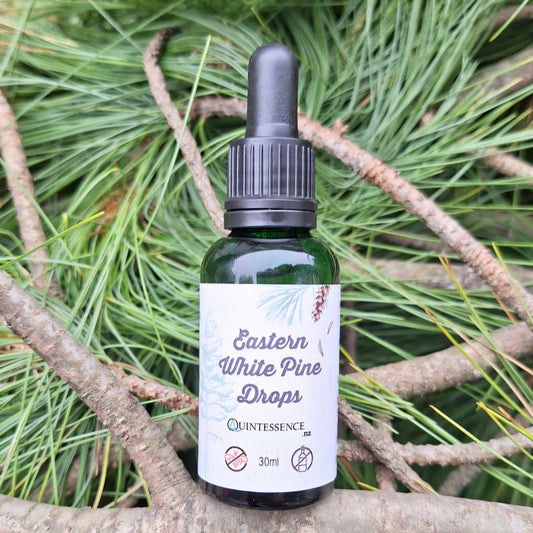 Eastern White Pine Glycerine Drops 30ml