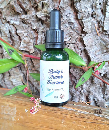 Lady's Thumb Tincture (Honey Free) 30ml