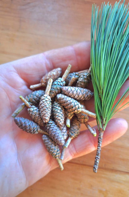 Pinecone Earrings