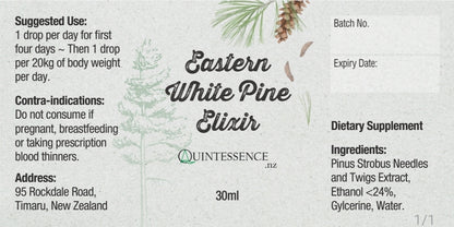 Eastern White Pine Elixir - Quintessence